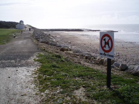 Plage de Chef de Baie interdite aux chiens...