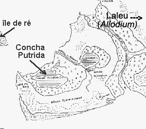 Le site où se trouvent aujourd'hui La Pallice, Chef de Baie, Laleu, c'est-à-dire quelques un des quartiers de La Rochelle, se nommait également conche putrida.